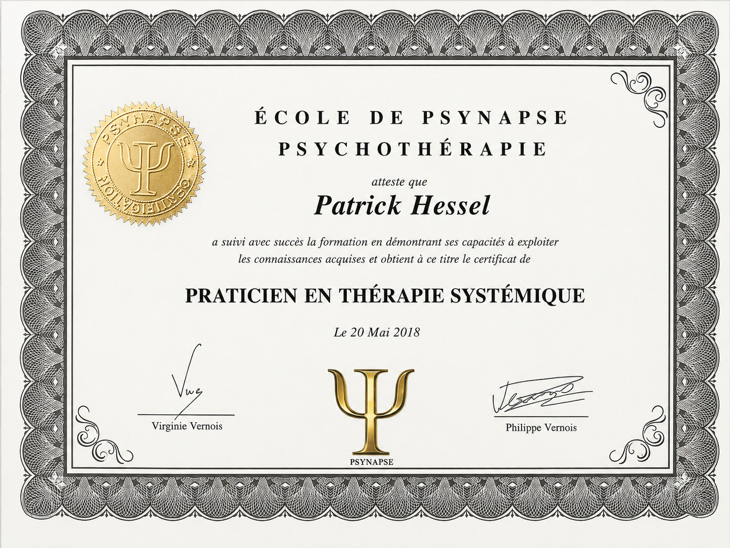 Praticien en Thérapie Systemique